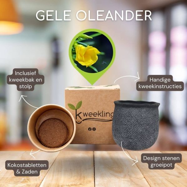 Olivia Oleander (geel)