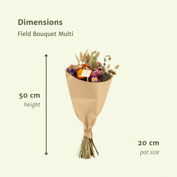 Droogbloemen Multi Field Bouquet ↨60cm-ø25cm - Afbeelding 2