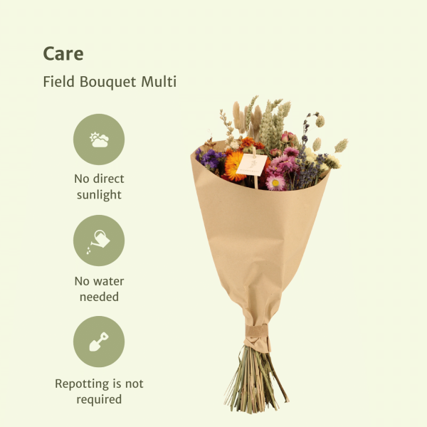Droogbloemen Multi Field Bouquet ↨60cm-ø25cm - Afbeelding 3