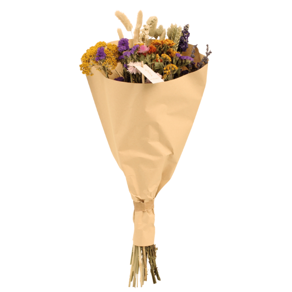 Multi Droogbloemen Field Bouquet ↨60cm-ø25cm