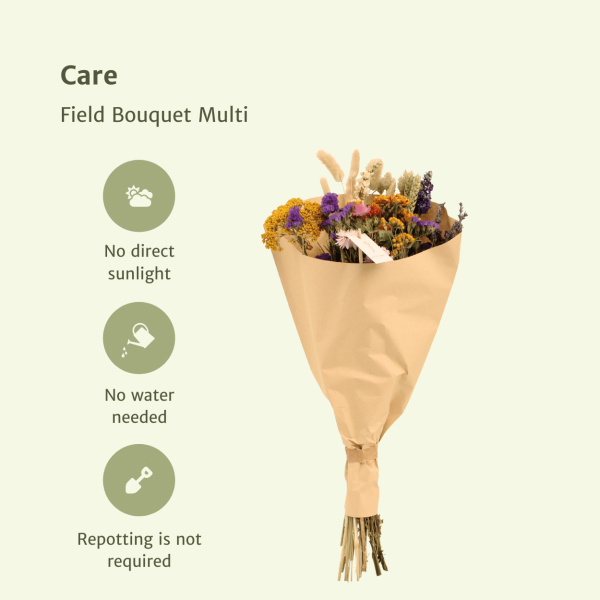 Multi Droogbloemen Field Bouquet ↨60cm-ø25cm - Afbeelding 3
