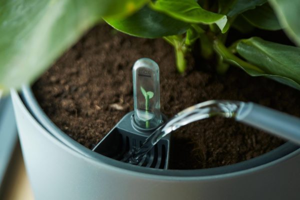 Self-watering pot met groene kamerplant en niveaumeter