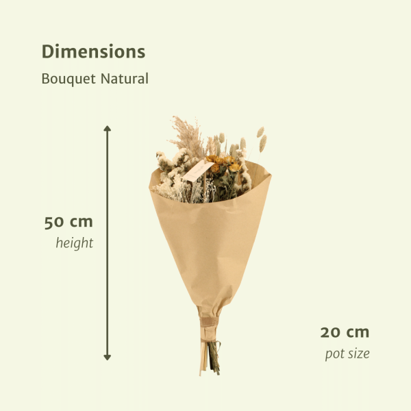 Field droogbloemen boeket naturel ↨60cm-ø25cm - Afbeelding 2