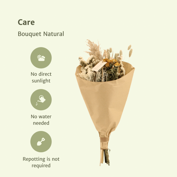 Field droogbloemen boeket naturel ↨60cm-ø25cm - Afbeelding 3