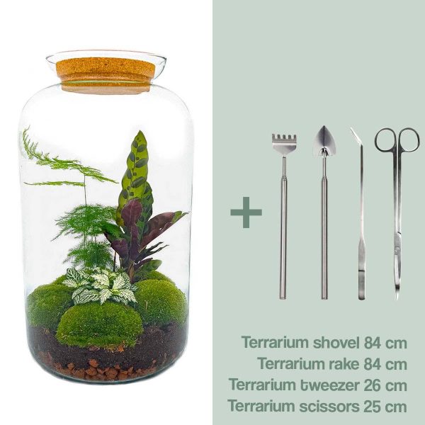 Glazen terrarium met asparagus varen, Fittonia nerve plant en Calathea op mosbodem