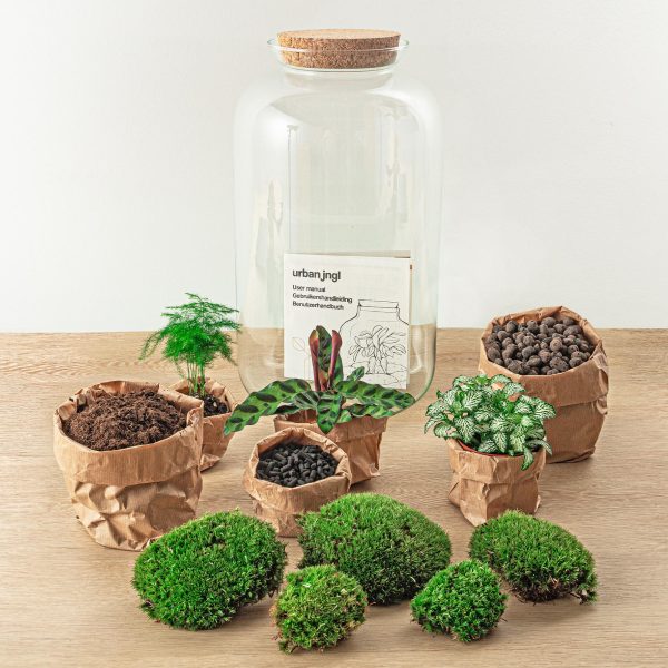 Calathea lancifolia terrarium-kit met mos en potgrond in papieren zak
