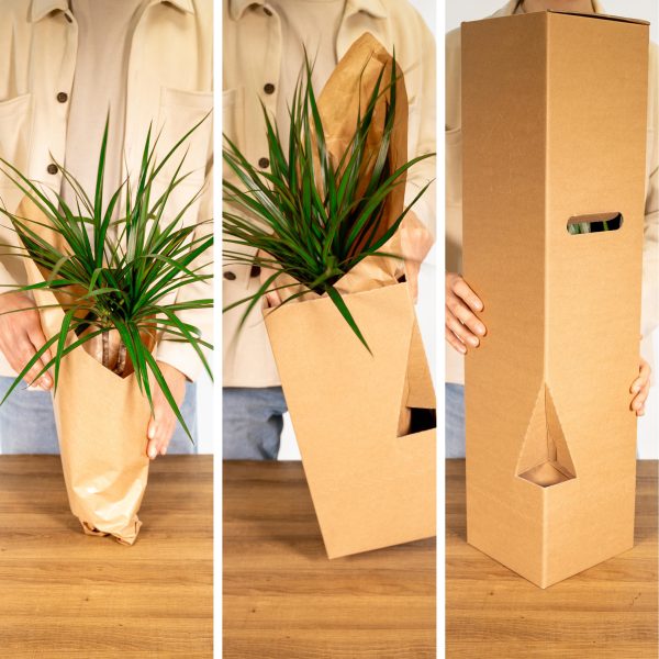 Buitenbeentjesbox C 8 stuks ↨25cm-ø12cm - Afbeelding 4