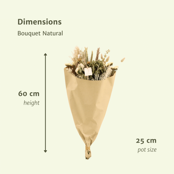 Droogbloemen Field Bouquet Natural ↨60cm-ø25cm - Afbeelding 2