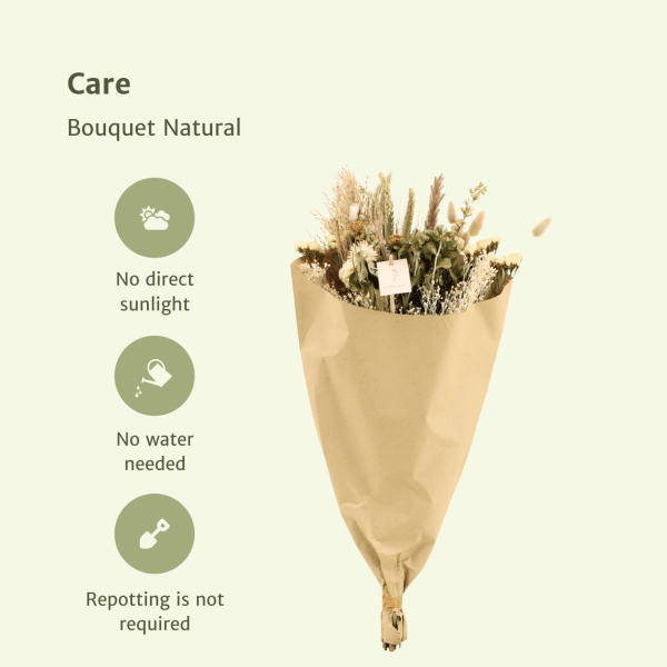 Droogbloemen Field Bouquet Natural ↨60cm-ø25cm - Afbeelding 3