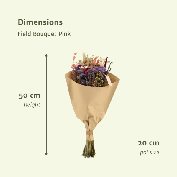 Droogbloemen Field Bouquet roze ↨60cm-ø25cm - Afbeelding 2