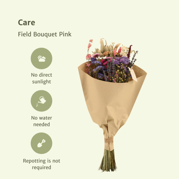 Droogbloemen Field Bouquet roze ↨60cm-ø25cm - Afbeelding 3