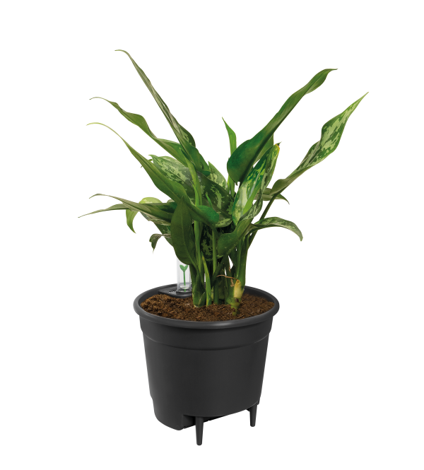 self watering insert 36cm - Afbeelding 3