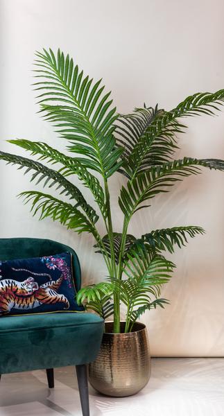 Luxe arecapalm met volle, groene veervormige bladeren in sierpot