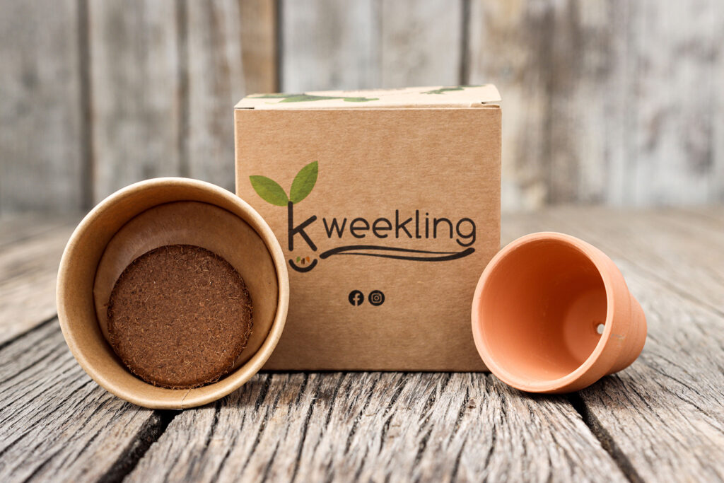 Kweekling startersset met papieren pot, turftablet en terracotta bloempot