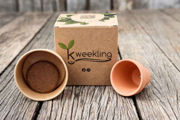 Kweekling kweekset met papieren pot, aardepellet en terracotta pot
