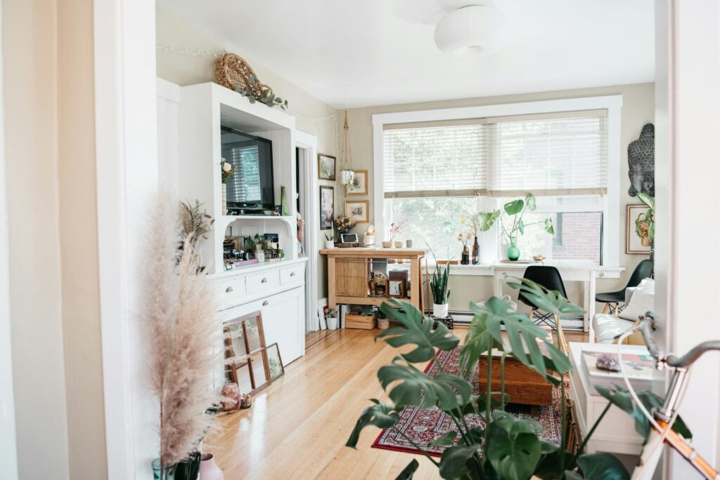 Monstera deliciosa met grote groene bladeren in een lichte woonkamer