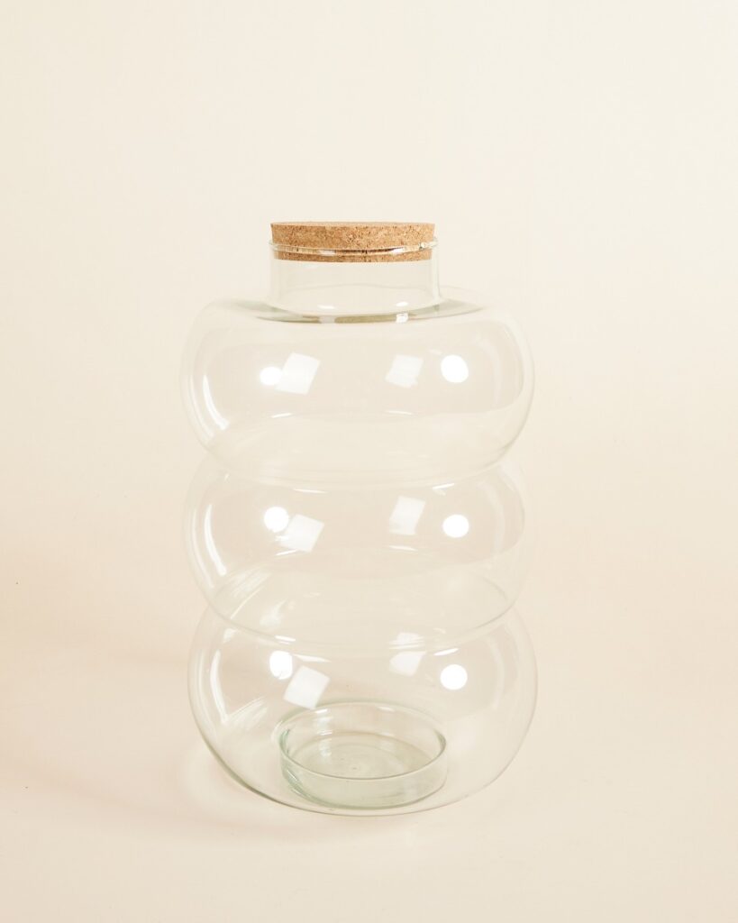 Bello Terrarium Medium