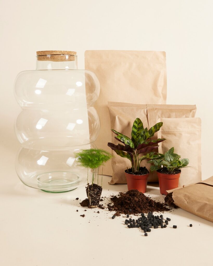 Bello Terrarium Medium Starter Kit