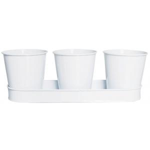 Bloempotjes set op tray wit