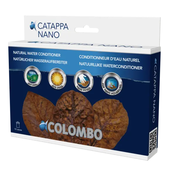 Colombo catappa 10st