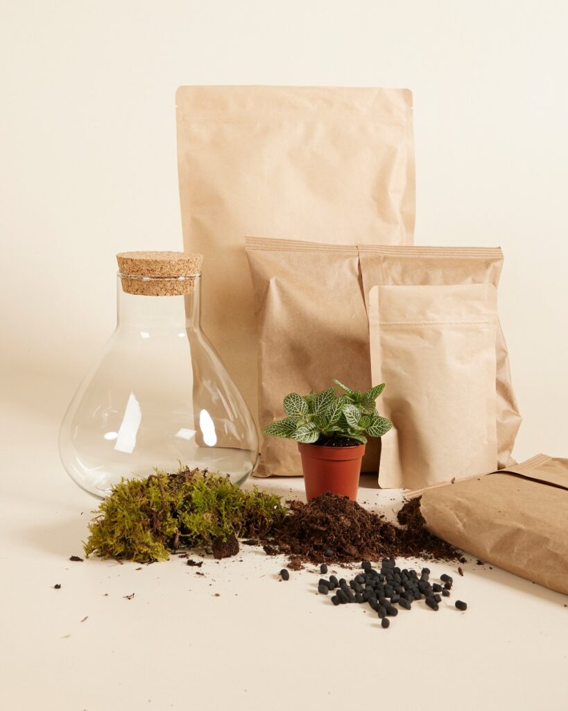 Emily Terrarium Starter Kit