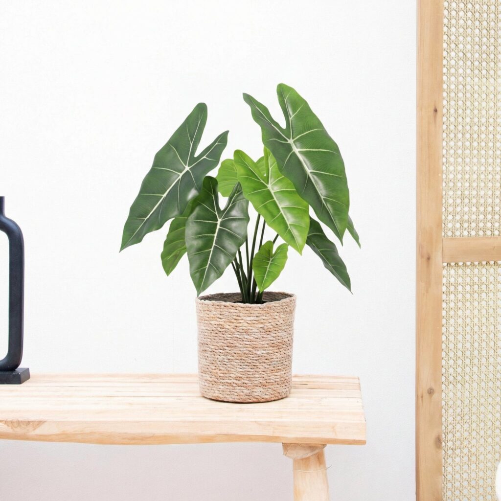 Kunst Alocasia Polly - 40cm