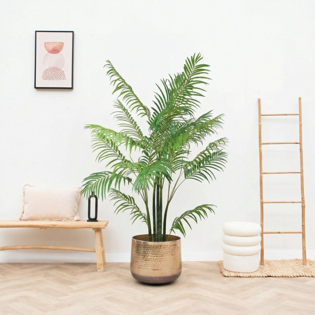 Kunst Areca - 190cm