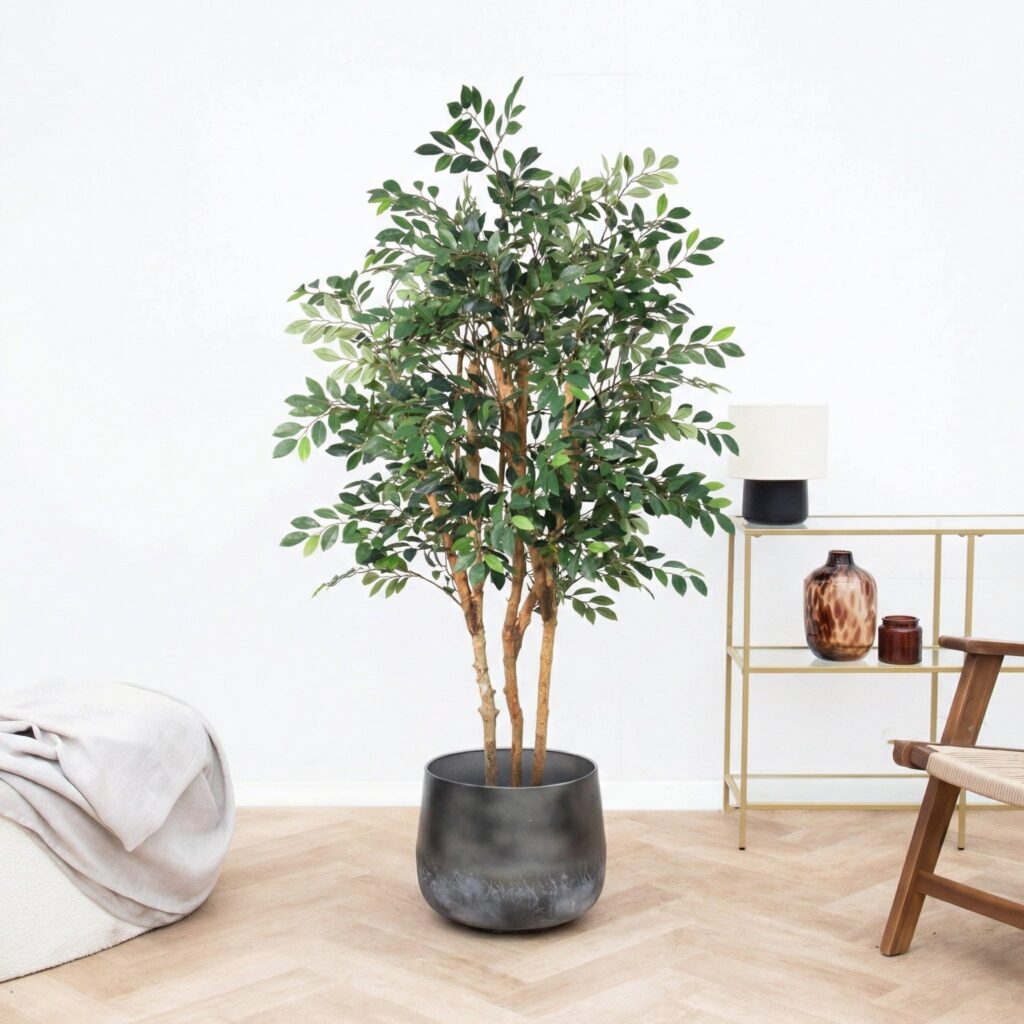 Kunst Ficus Exotica - 150cm