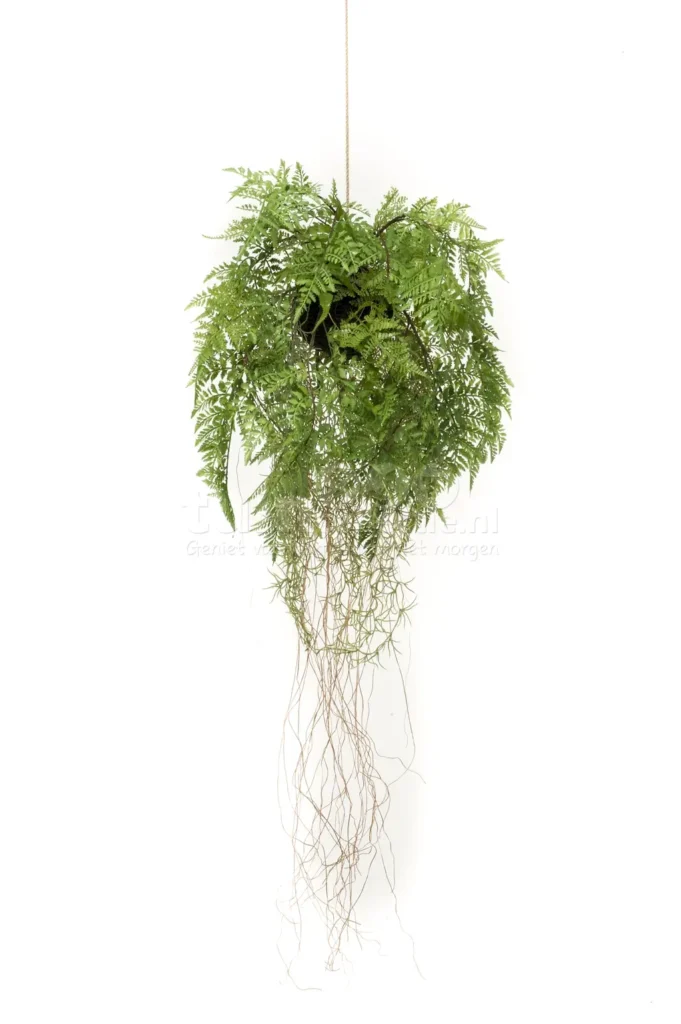 Kunst Hangplant Varen met Luchtwortels 70cm