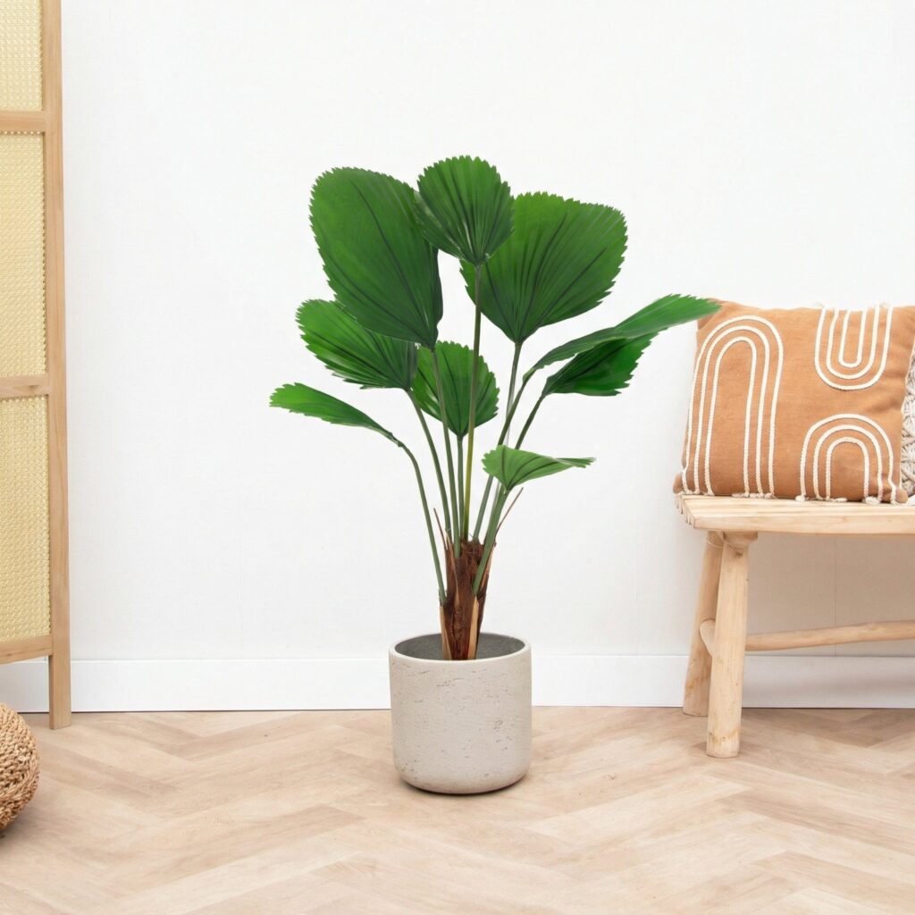 Kunst Licuala Grandis - 105cm