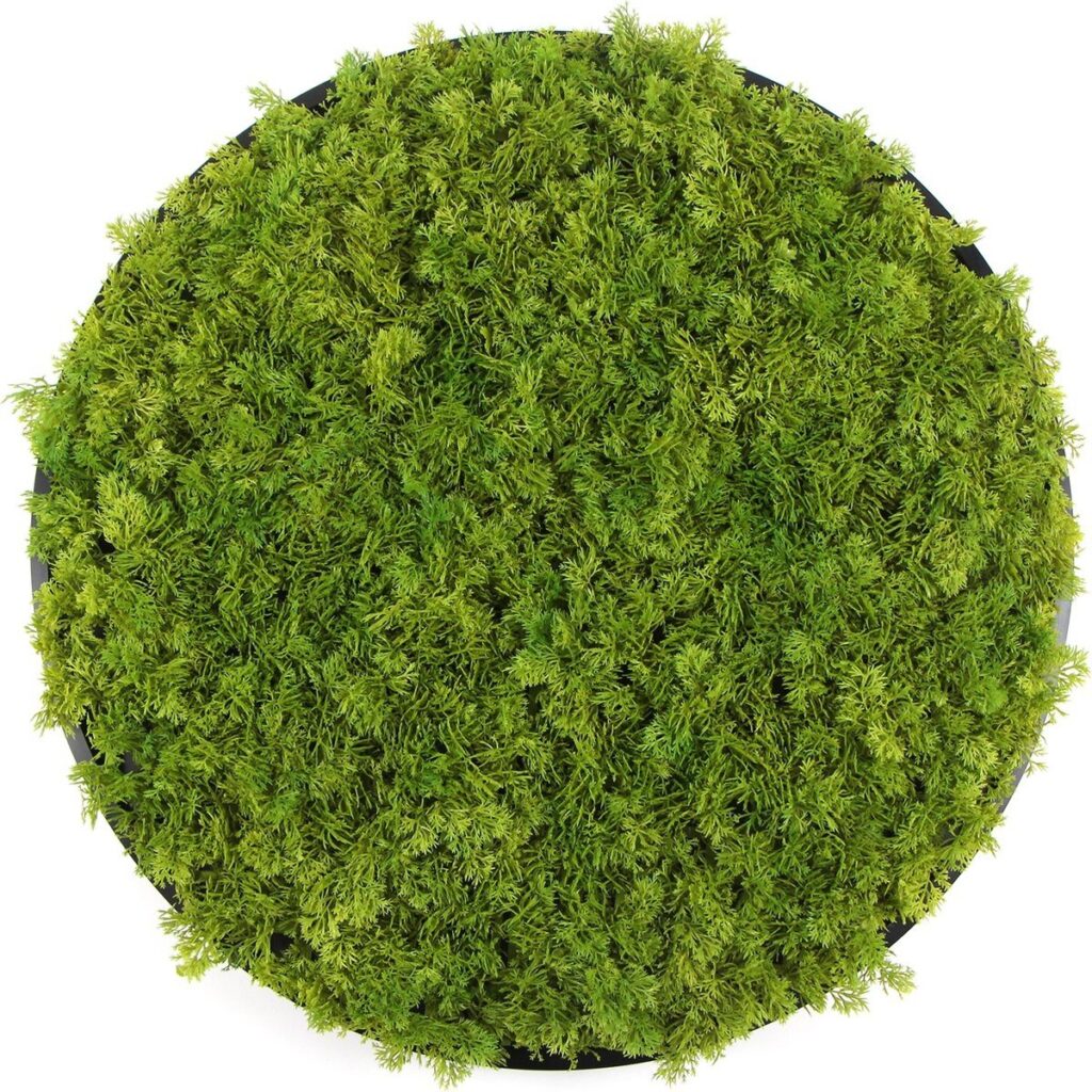 Kunst moscirkel MOSS Emerald Green 50cm. antraciet