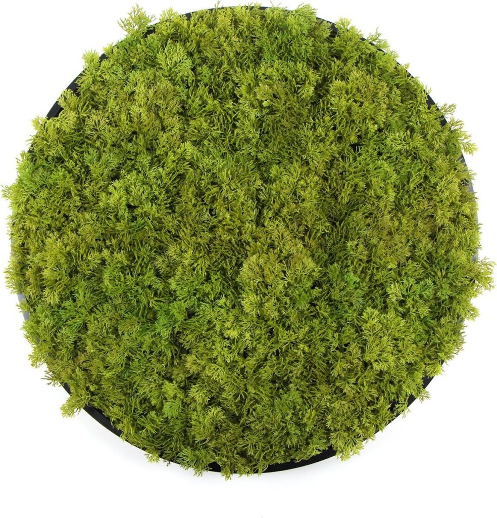 Kunst moscirkel MOSS Lime Green 75cm. antraciet