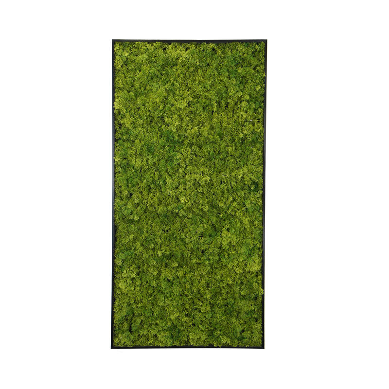 Kunst mosschilderij MOSS Emerald Green