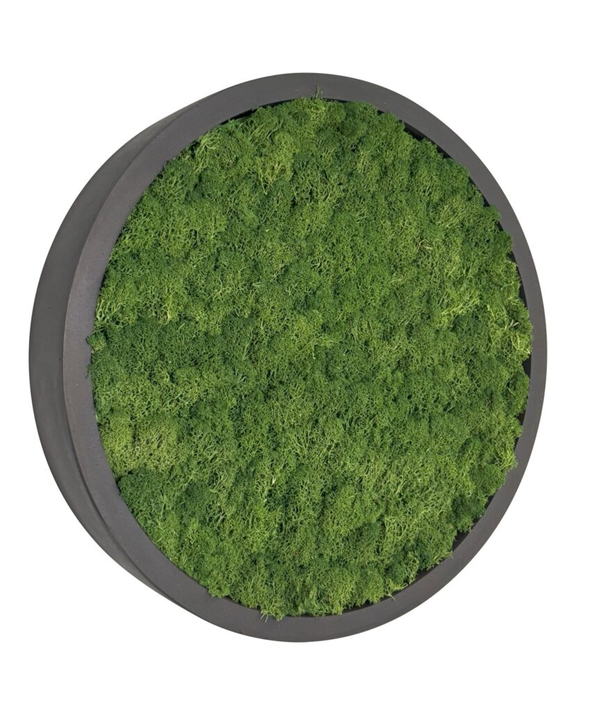 Mosschilderij Fay Fiberstone M