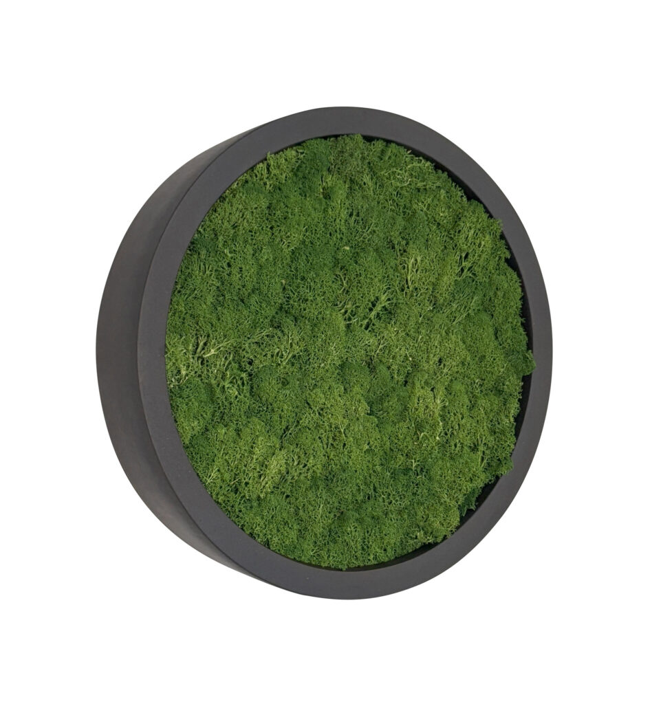 Mosschilderij Fay Fiberstone S