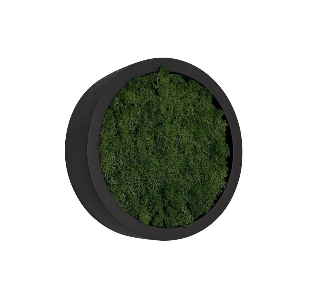 Mosschilderij Fay Fiberstone XS