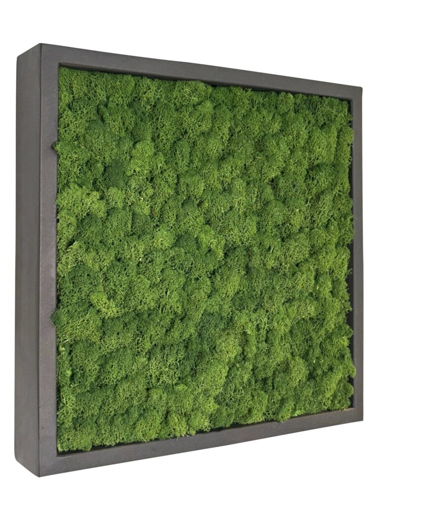 Mosschilderij Fay Fiberstone vierkant 50x50 cm.