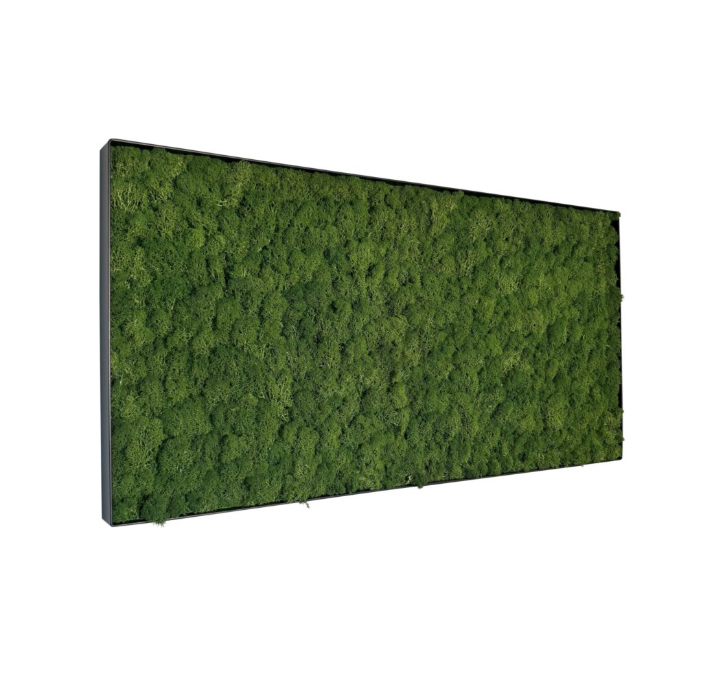 Mosschilderij Fay Metal 100x50cm.