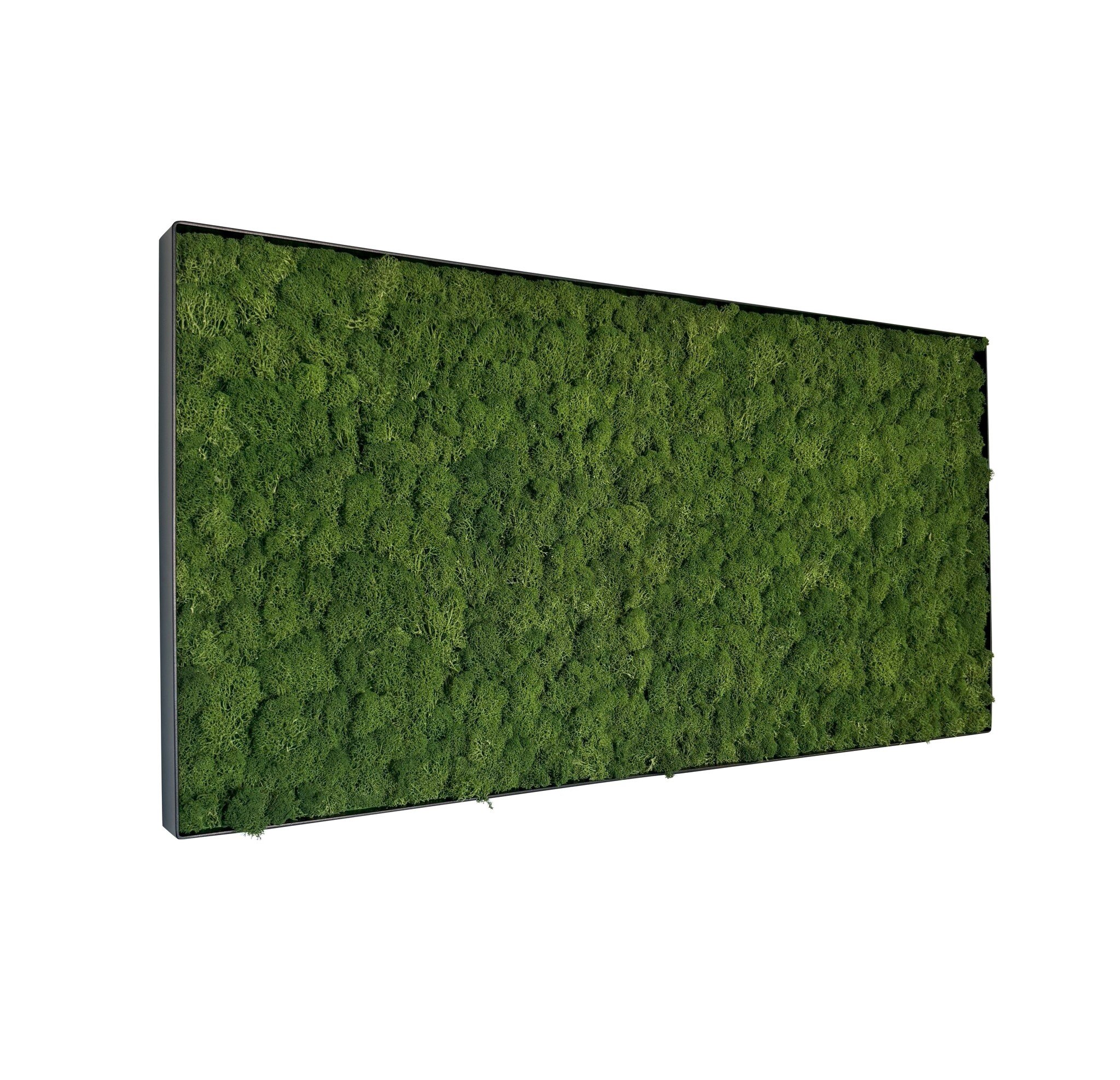 Mosschilderij Fay Metal 100x50cm.