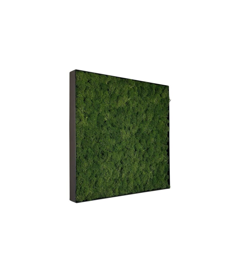 Mosschilderij Fay Metal 50x50cm.