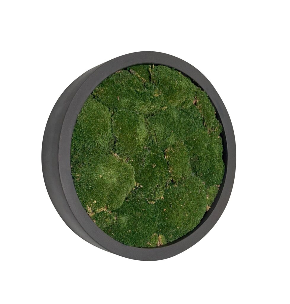 Mosschilderij Jade Fiberstone S