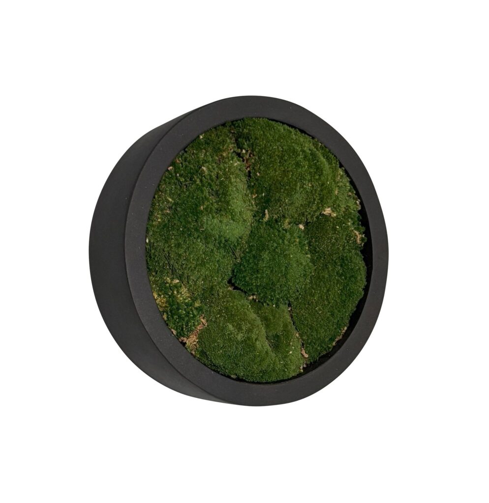 Mosschilderij Jade Fiberstone XS