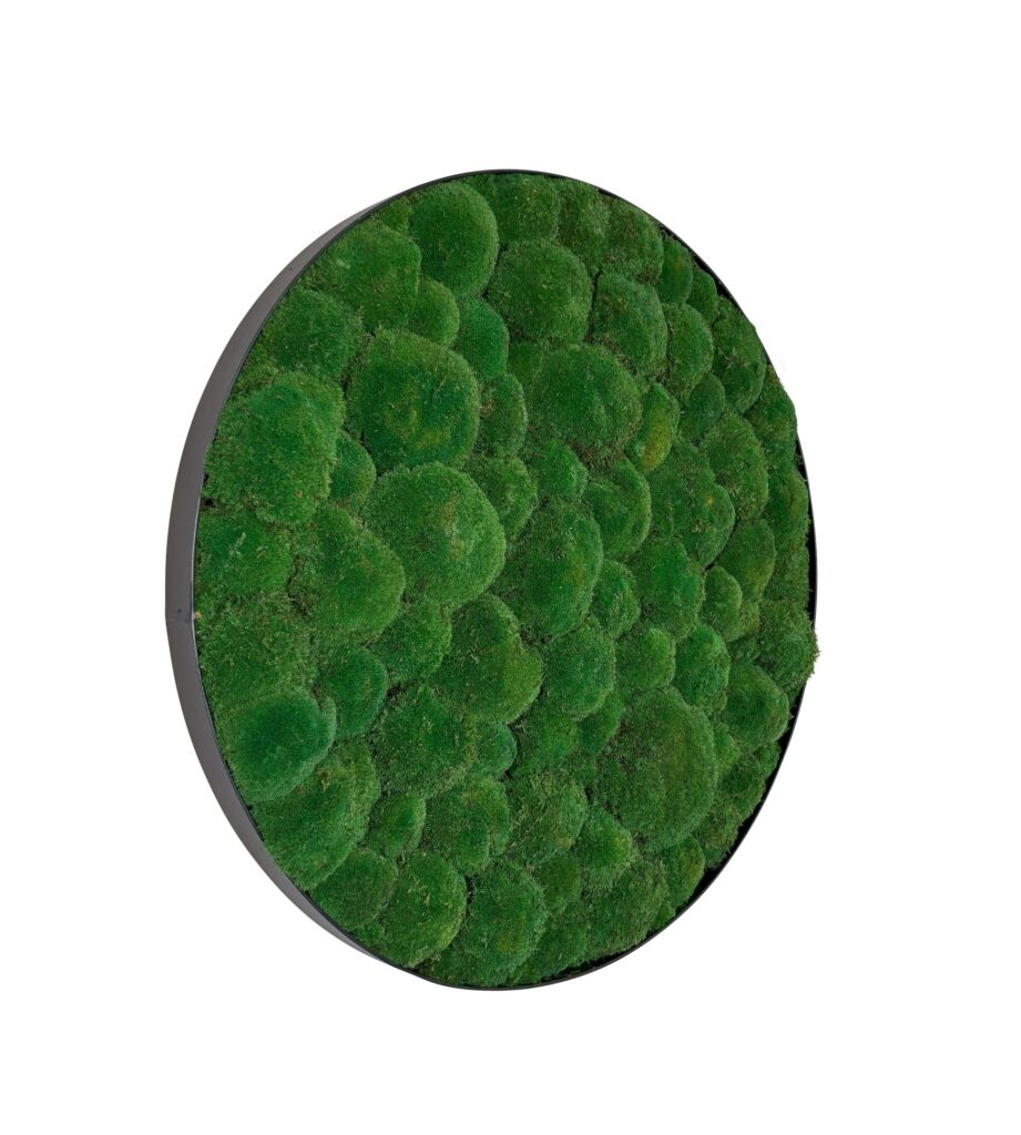 Mosschilderij Jade Metal 120cm.