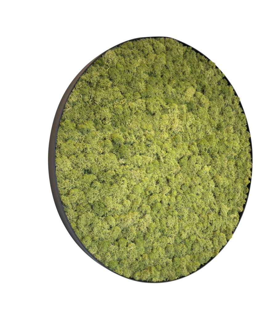 Mosschilderij Leah Metal 100cm.