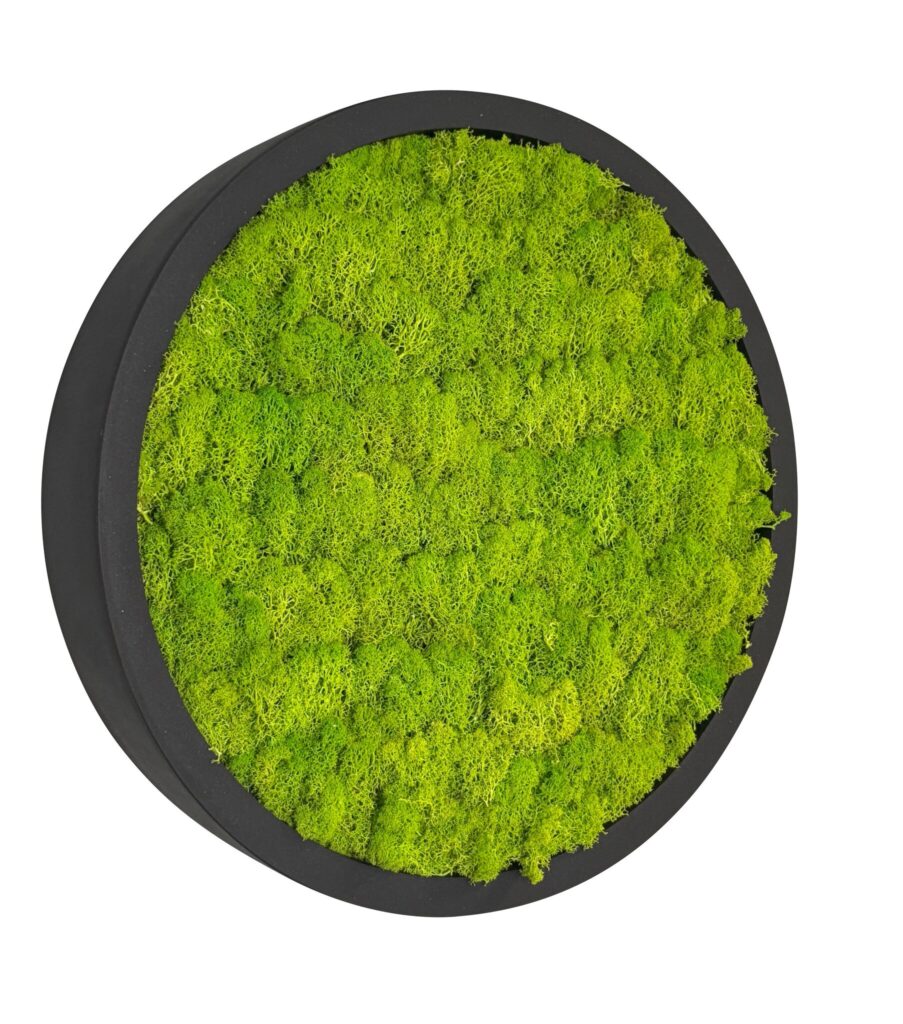 Mosschilderij Linn Fiberstone M