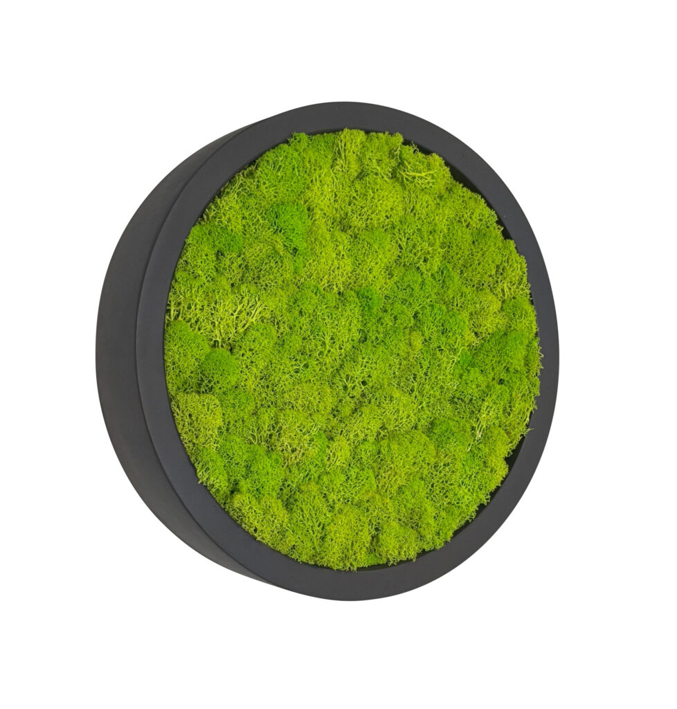 Mosschilderij Linn Fiberstone S