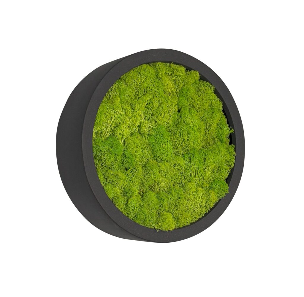 Mosschilderij Linn Fiberstone XS