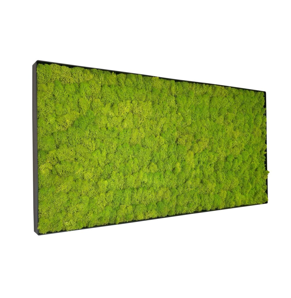 Mosschilderij Linn Metal 100x50cm.