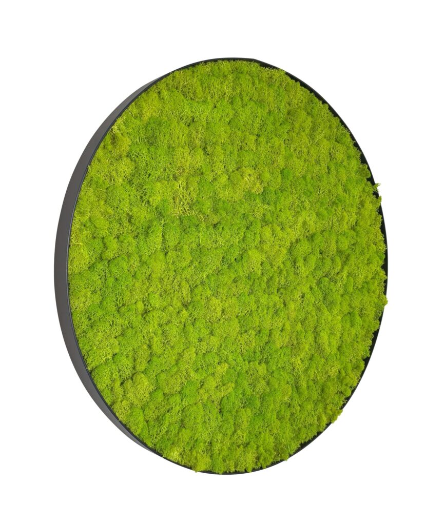 Mosschilderij Linn Metal 120cm.