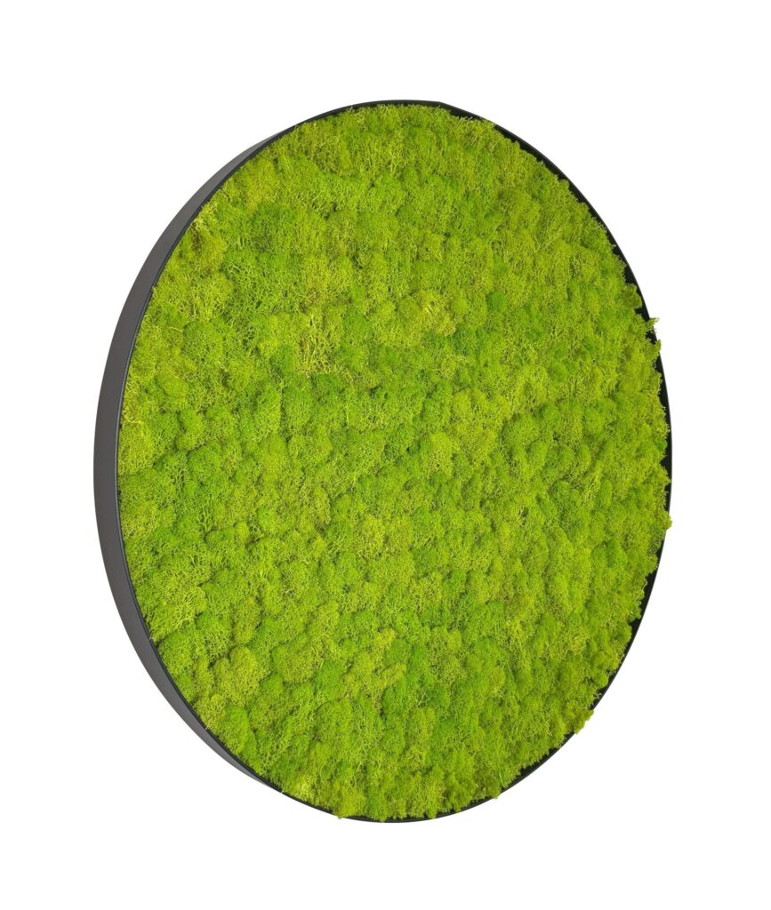 Mosschilderij Linn Metal 80cm.